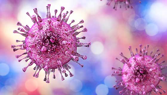Vírusové ochorenie herpes možno rozdeliť na 2 základné typy, a síce vírus HSV-1 a HSV-2